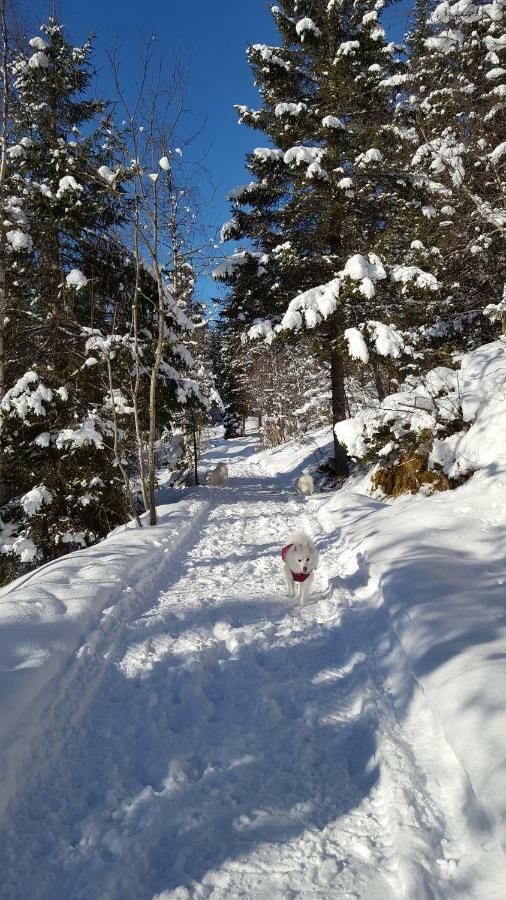 Leilighet I Amotsdal Bagian luar foto
