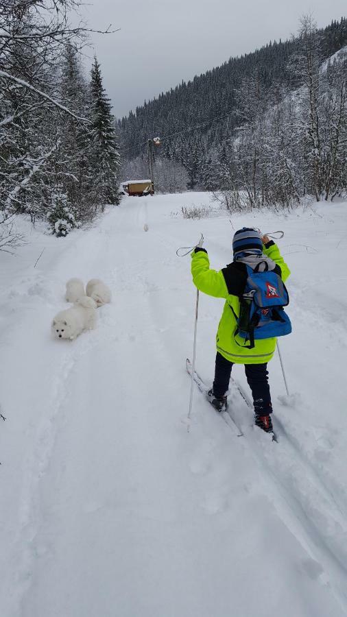 Leilighet I Amotsdal Bagian luar foto