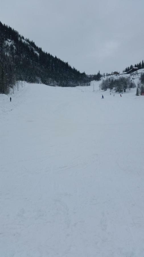 Leilighet I Amotsdal Bagian luar foto