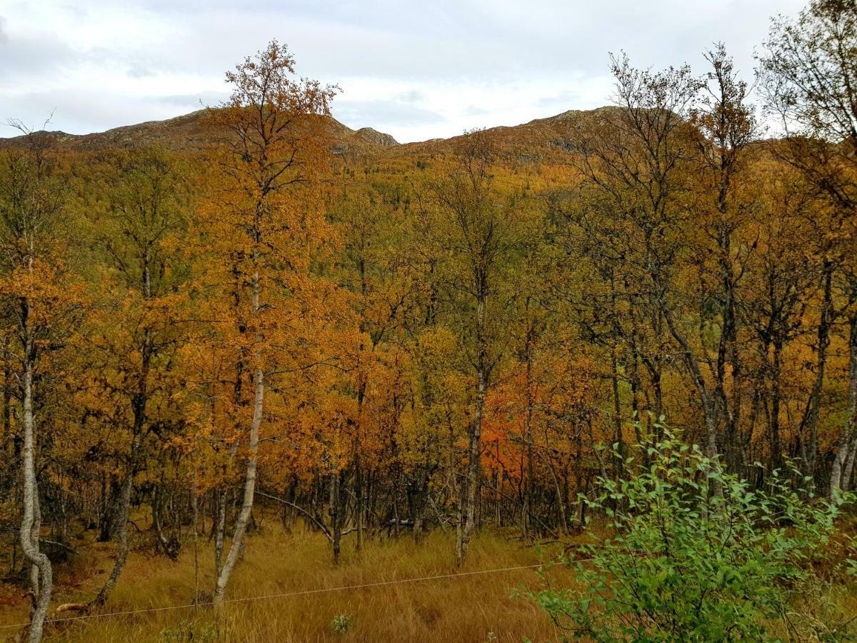Leilighet I Amotsdal Bagian luar foto