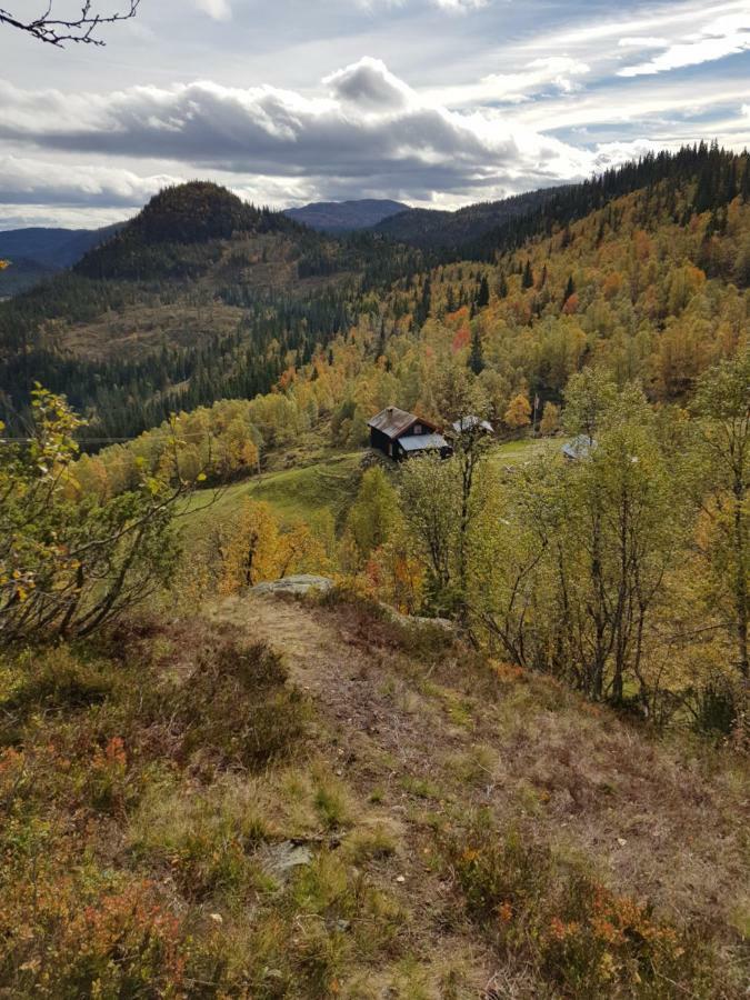 Leilighet I Amotsdal Bagian luar foto