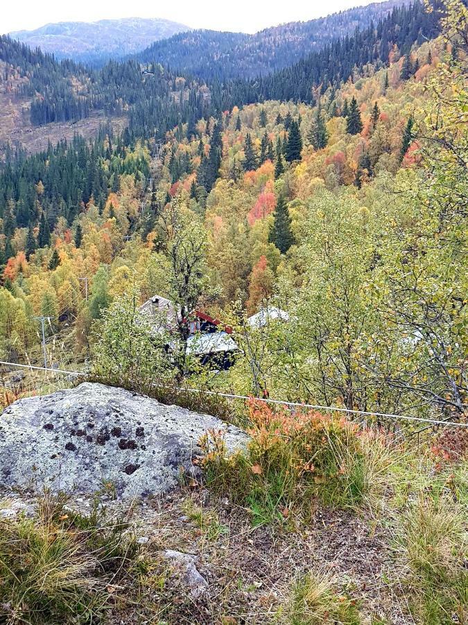 Leilighet I Amotsdal Bagian luar foto