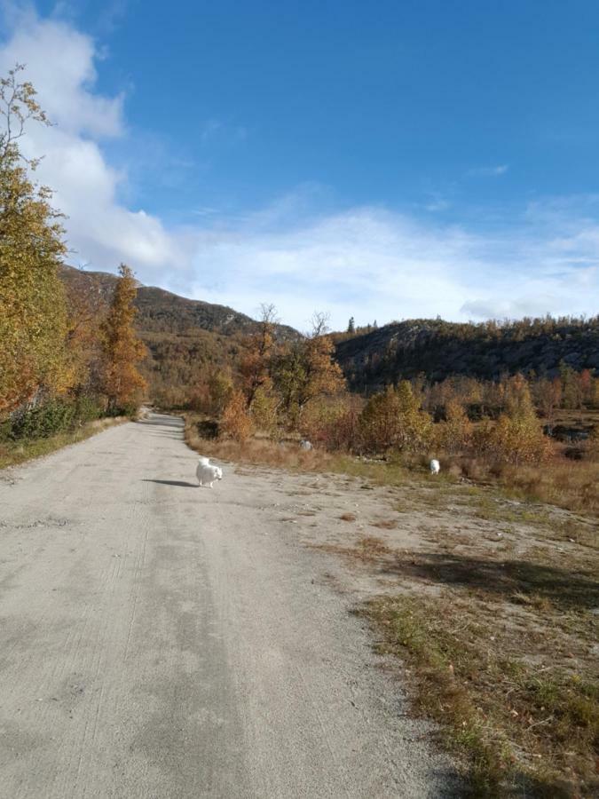 Leilighet I Amotsdal Bagian luar foto