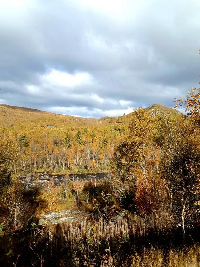 Leilighet I Amotsdal Bagian luar foto