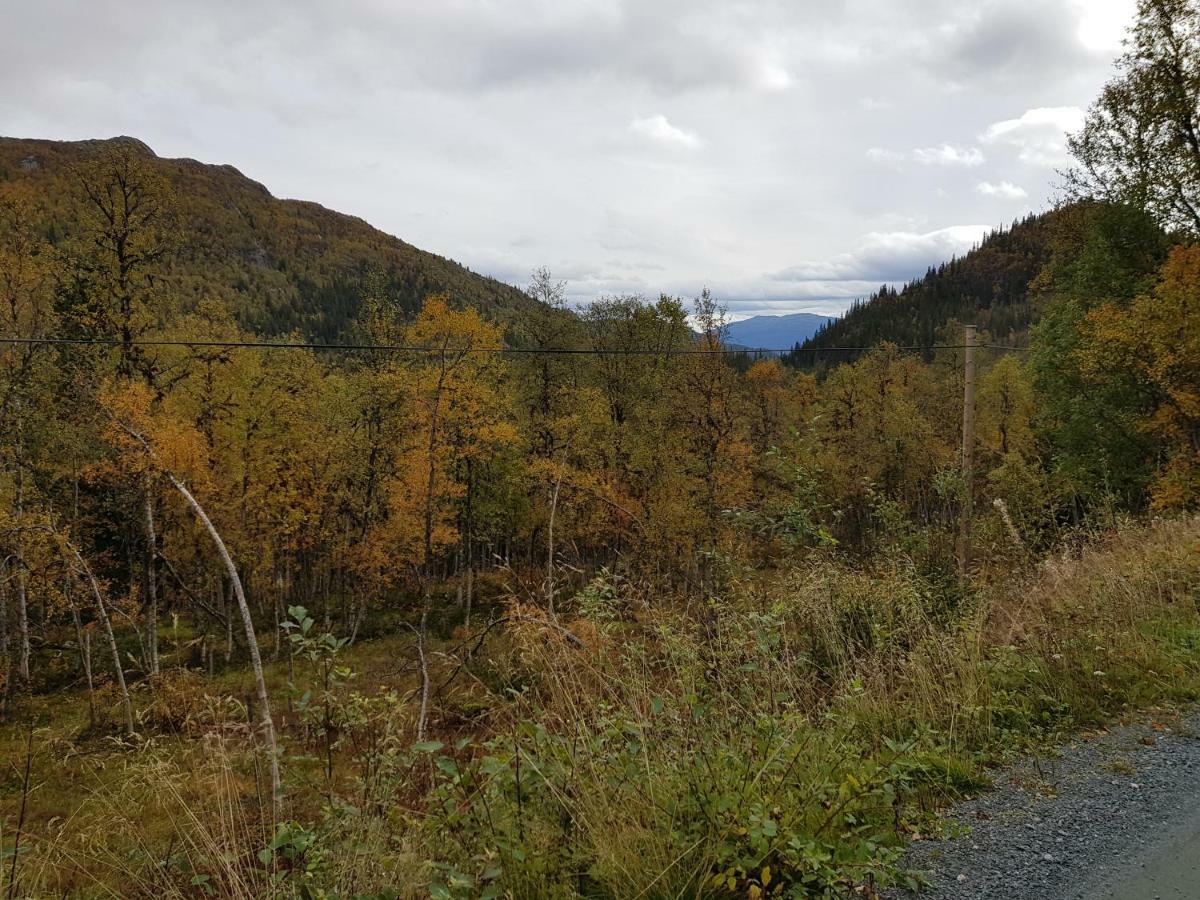 Leilighet I Amotsdal Bagian luar foto