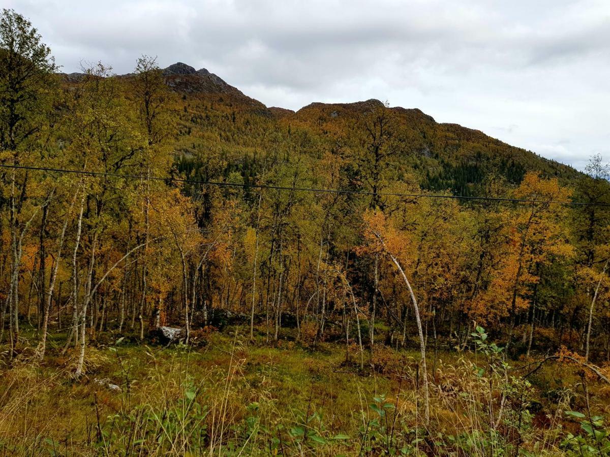 Leilighet I Amotsdal Bagian luar foto