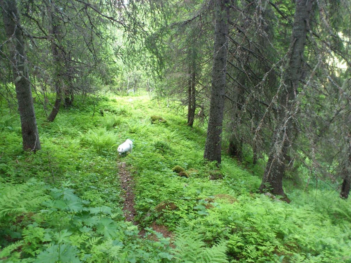 Leilighet I Amotsdal Bagian luar foto